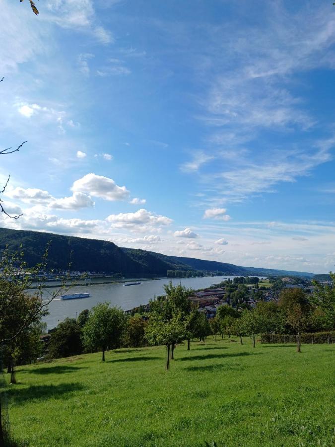 Apartment Neli Am Rhein